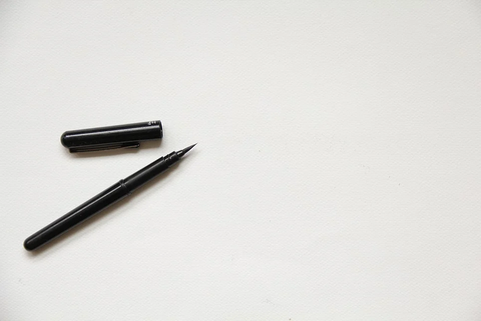Pen Image